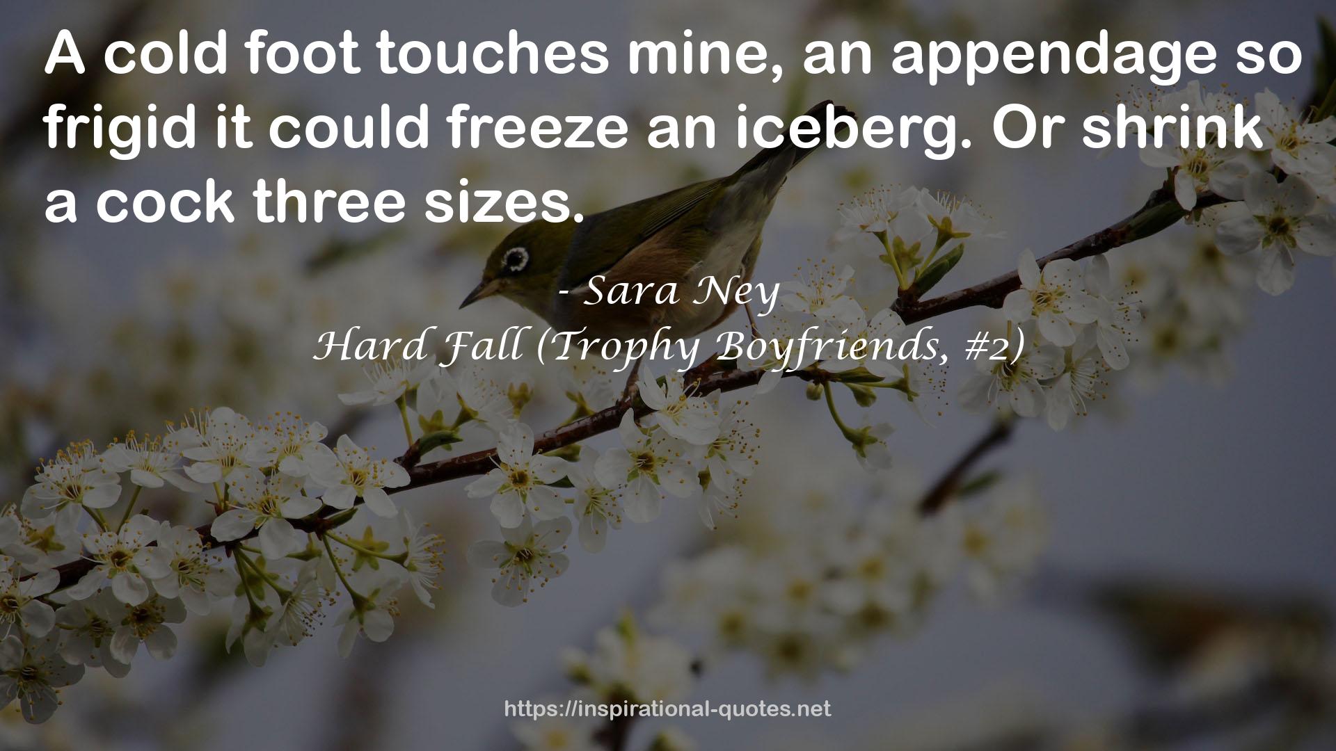 Hard Fall (Trophy Boyfriends, #2) QUOTES