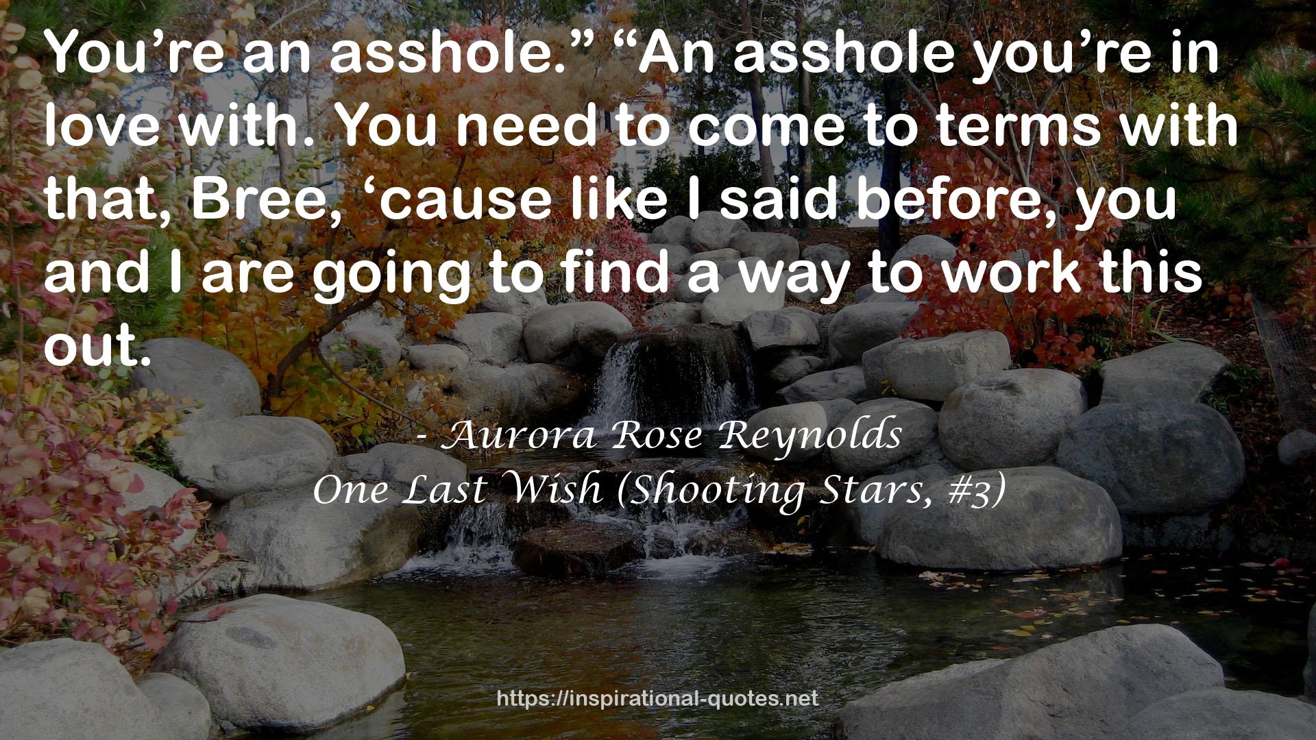 One Last Wish (Shooting Stars, #3) QUOTES
