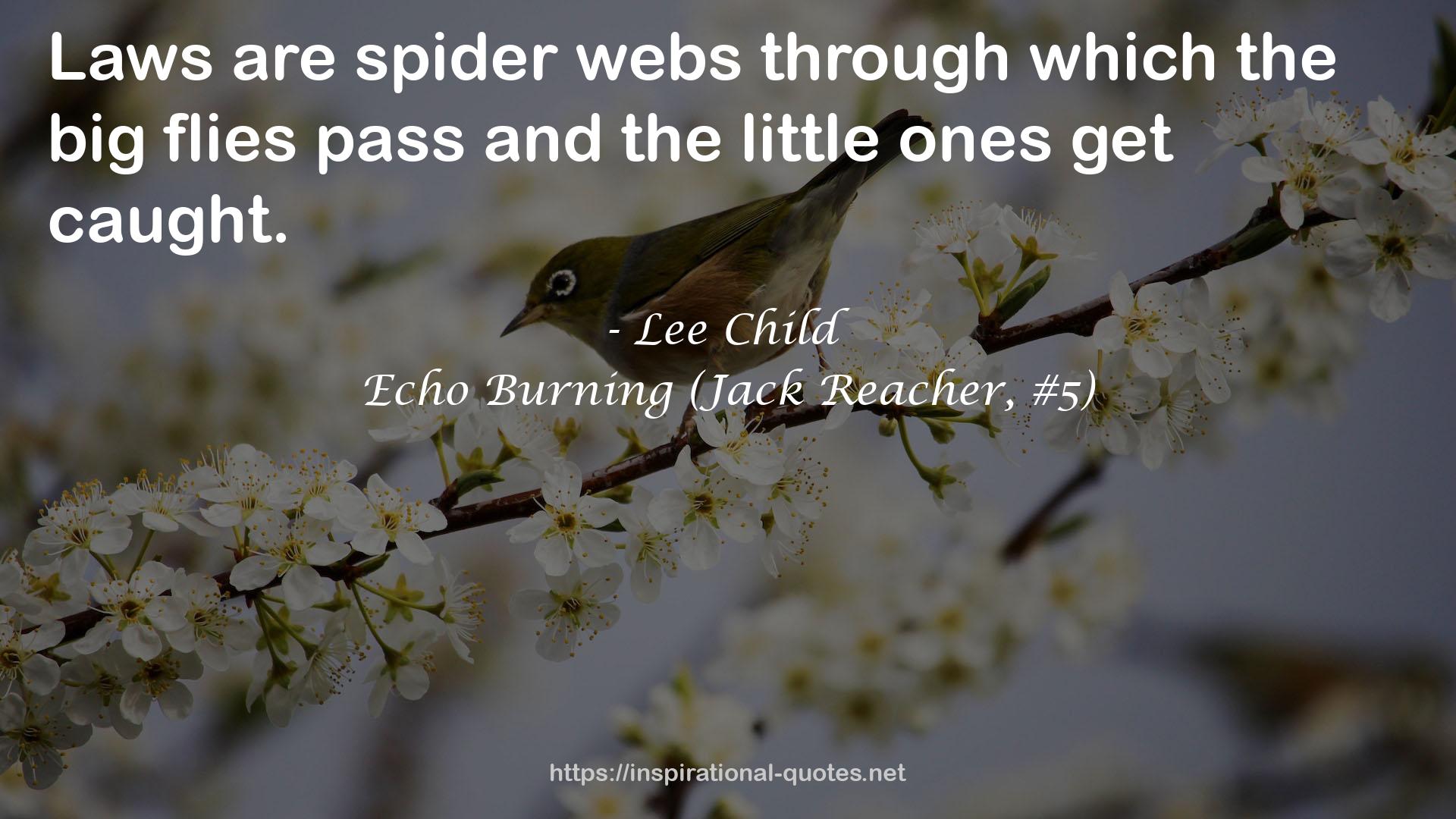 Echo Burning (Jack Reacher, #5) QUOTES