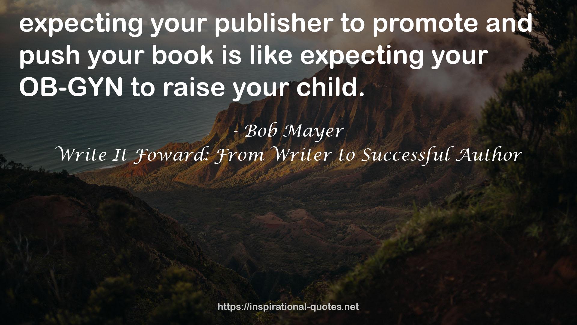 Write It Foward: From Writer to Successful Author QUOTES