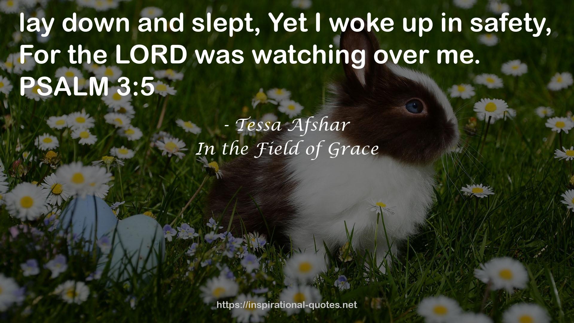 In the Field of Grace QUOTES