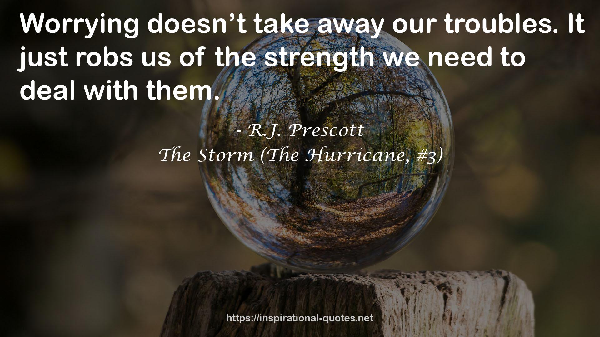 The Storm (The Hurricane, #3) QUOTES