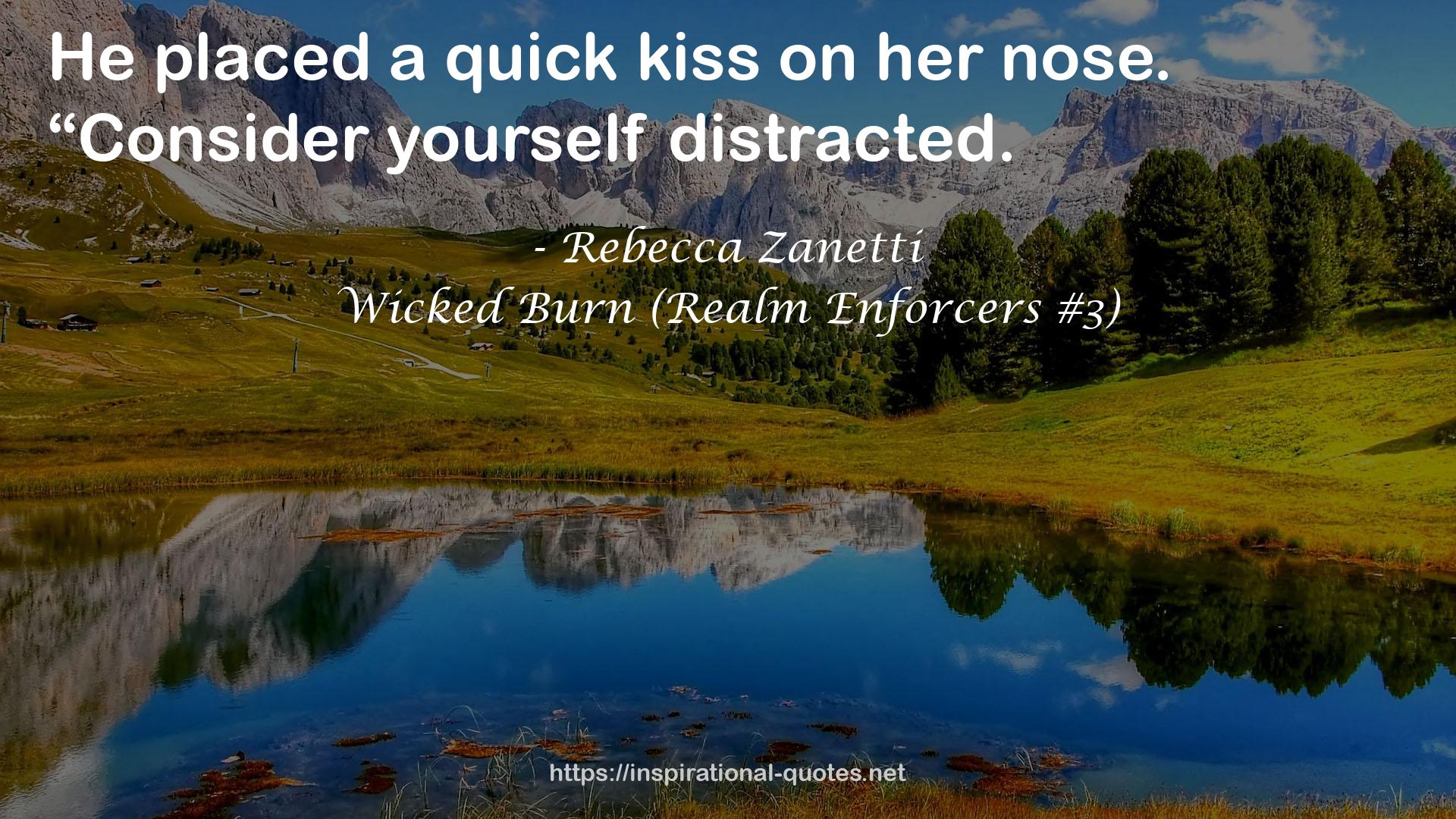 Wicked Burn (Realm Enforcers #3) QUOTES