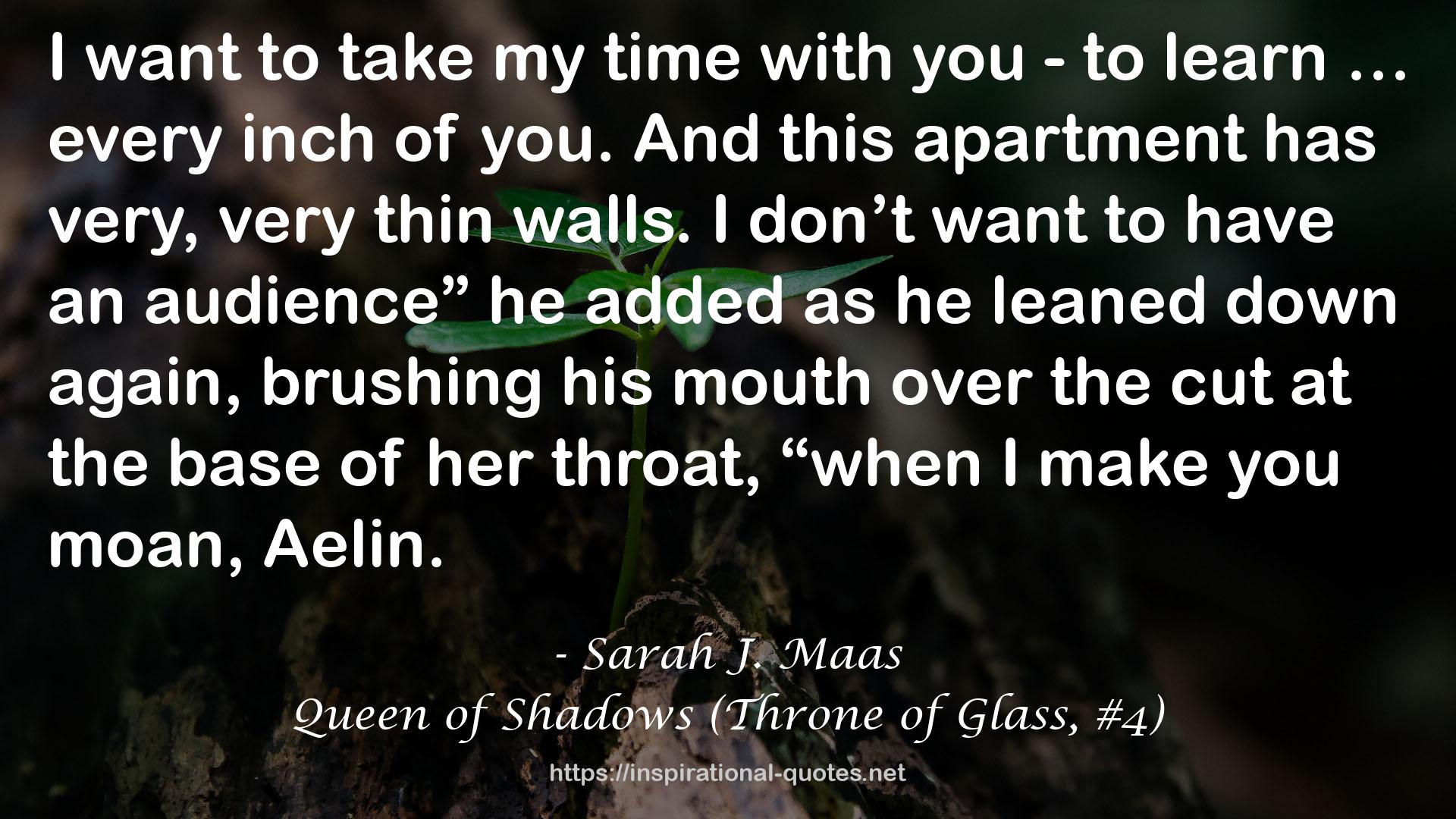 Queen of Shadows (Throne of Glass, #4) QUOTES