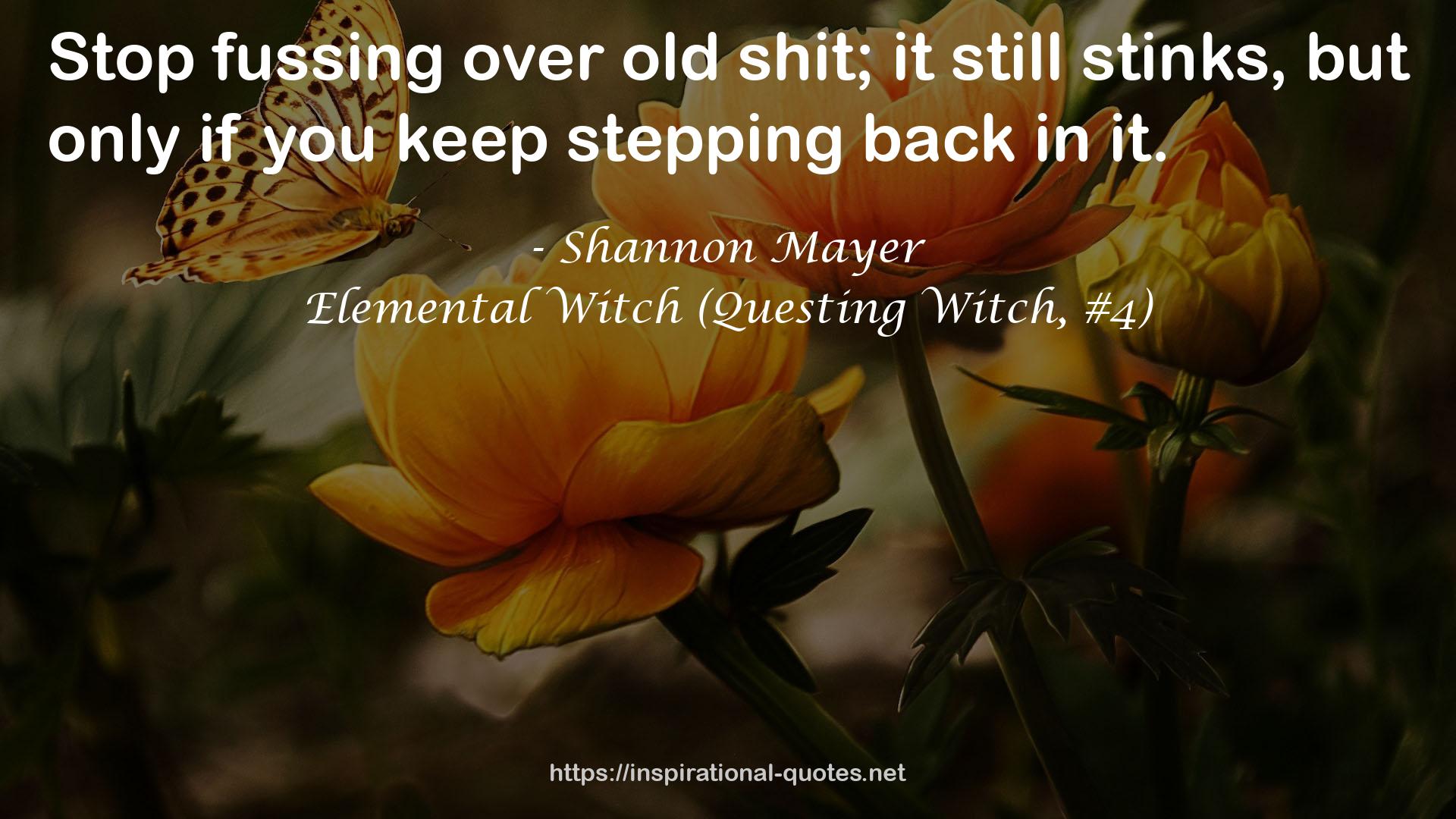 Elemental Witch (Questing Witch, #4) QUOTES