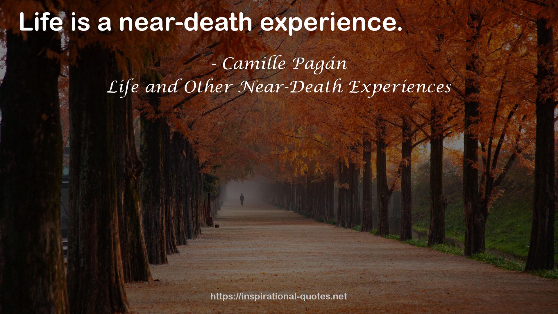 Life and Other Near-Death Experiences QUOTES