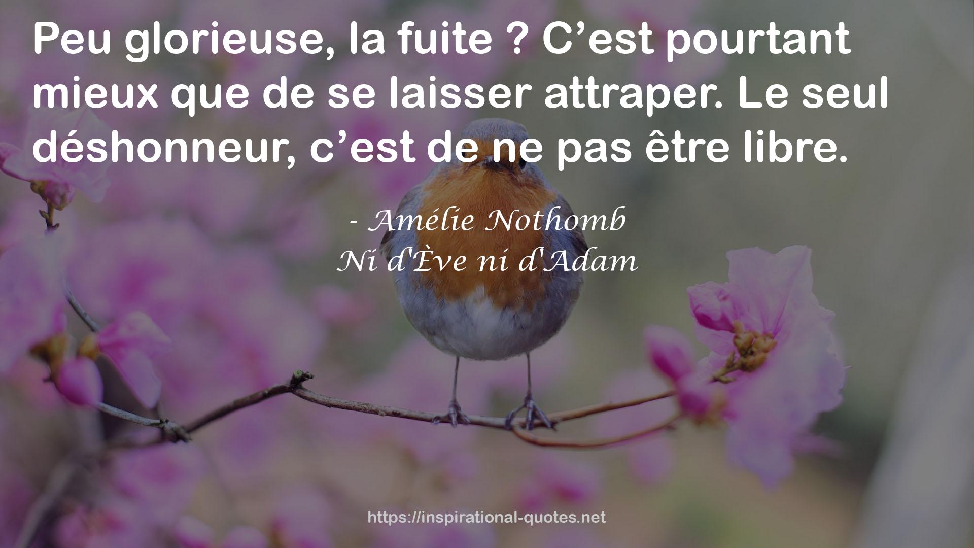 Amélie Nothomb QUOTES