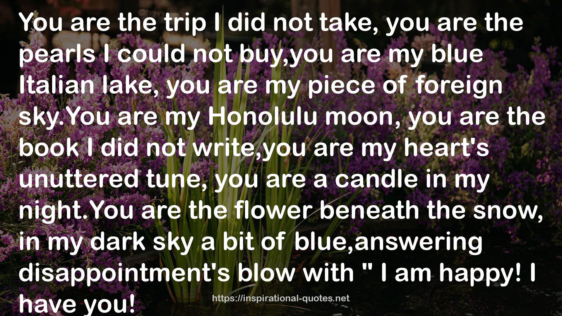 Honolulu  QUOTES