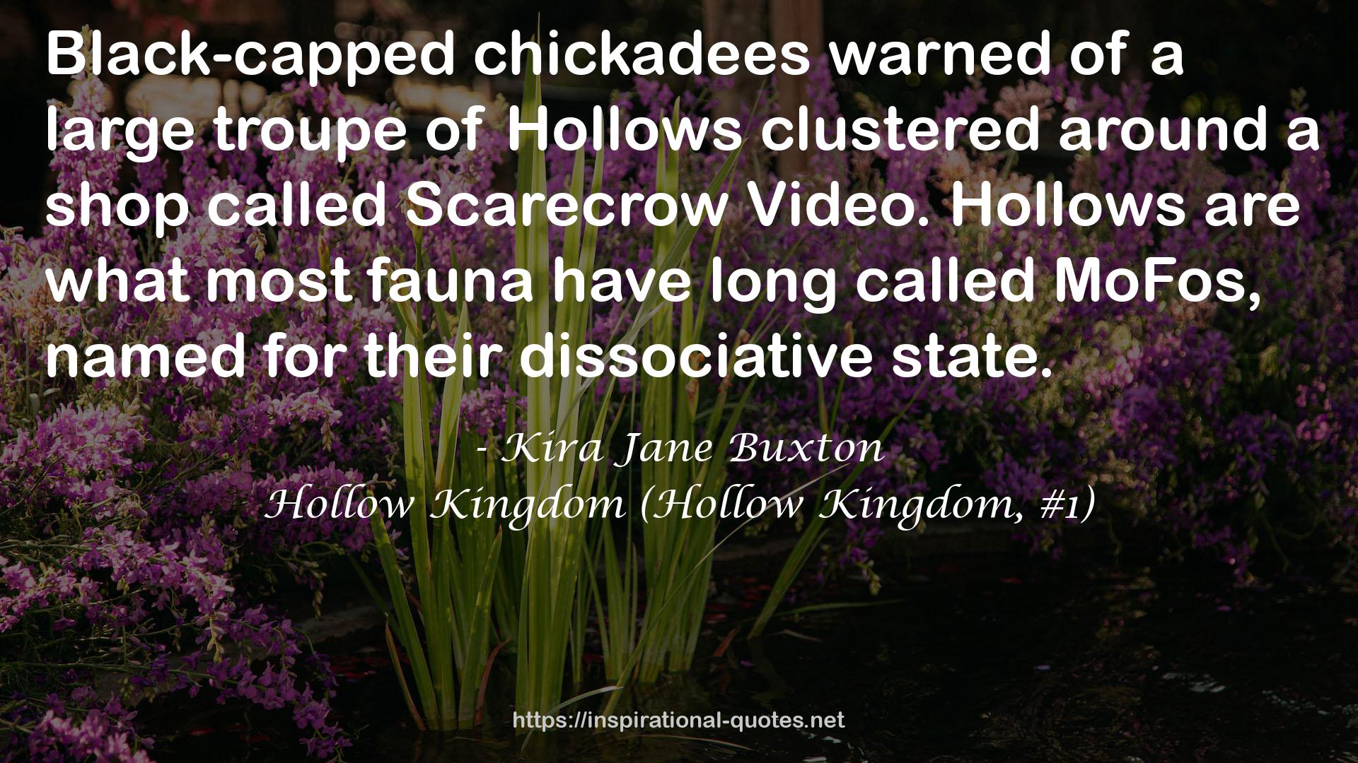 Hollow Kingdom (Hollow Kingdom, #1) QUOTES