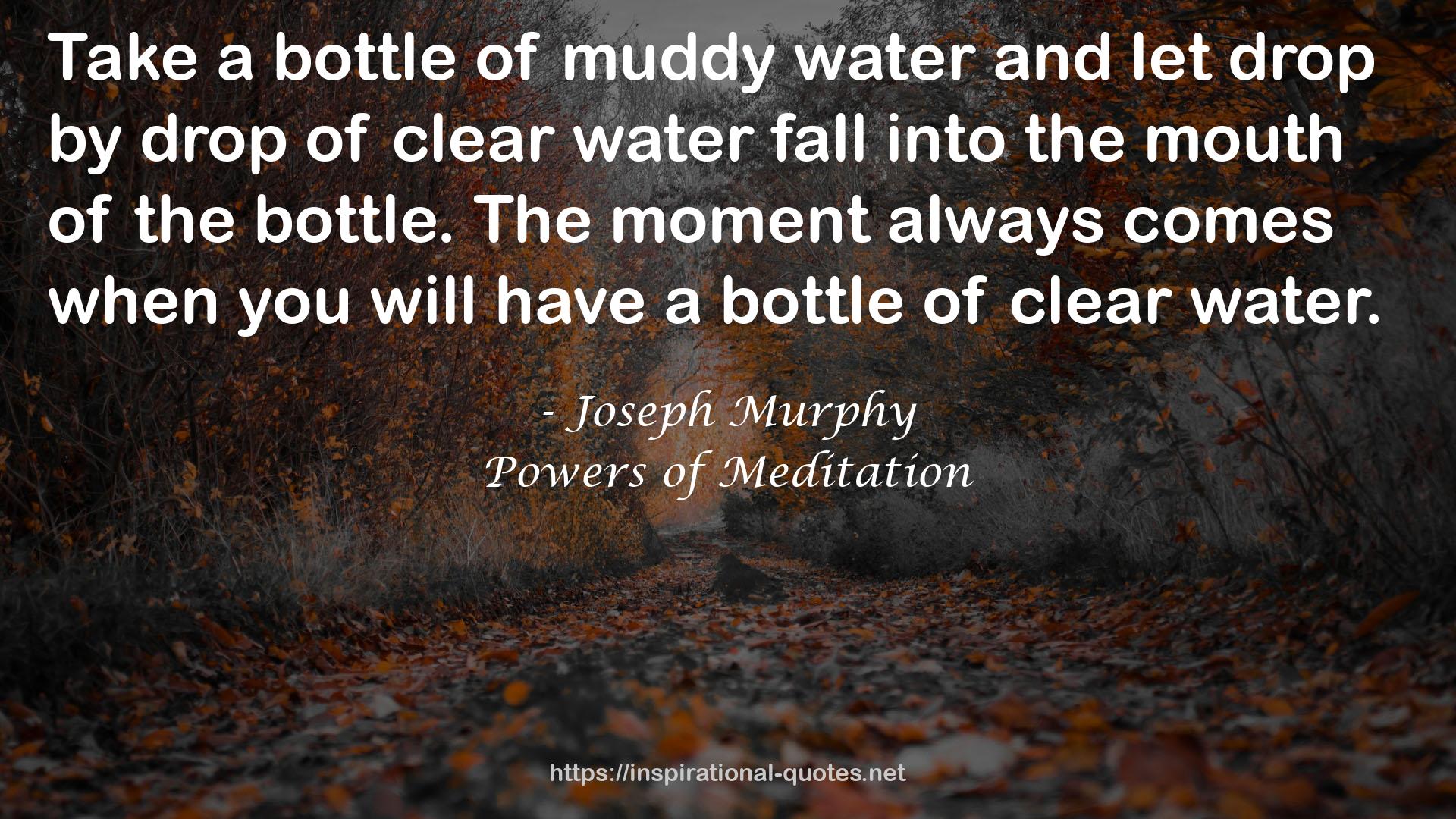 Powers of Meditation QUOTES