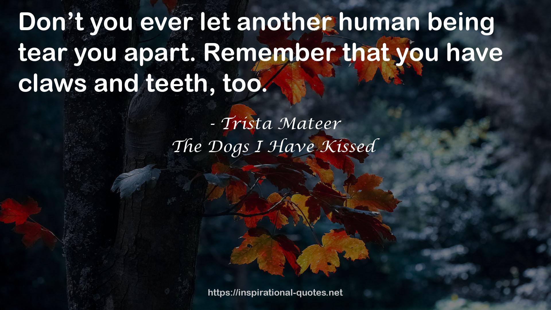 The Dogs I Have Kissed QUOTES