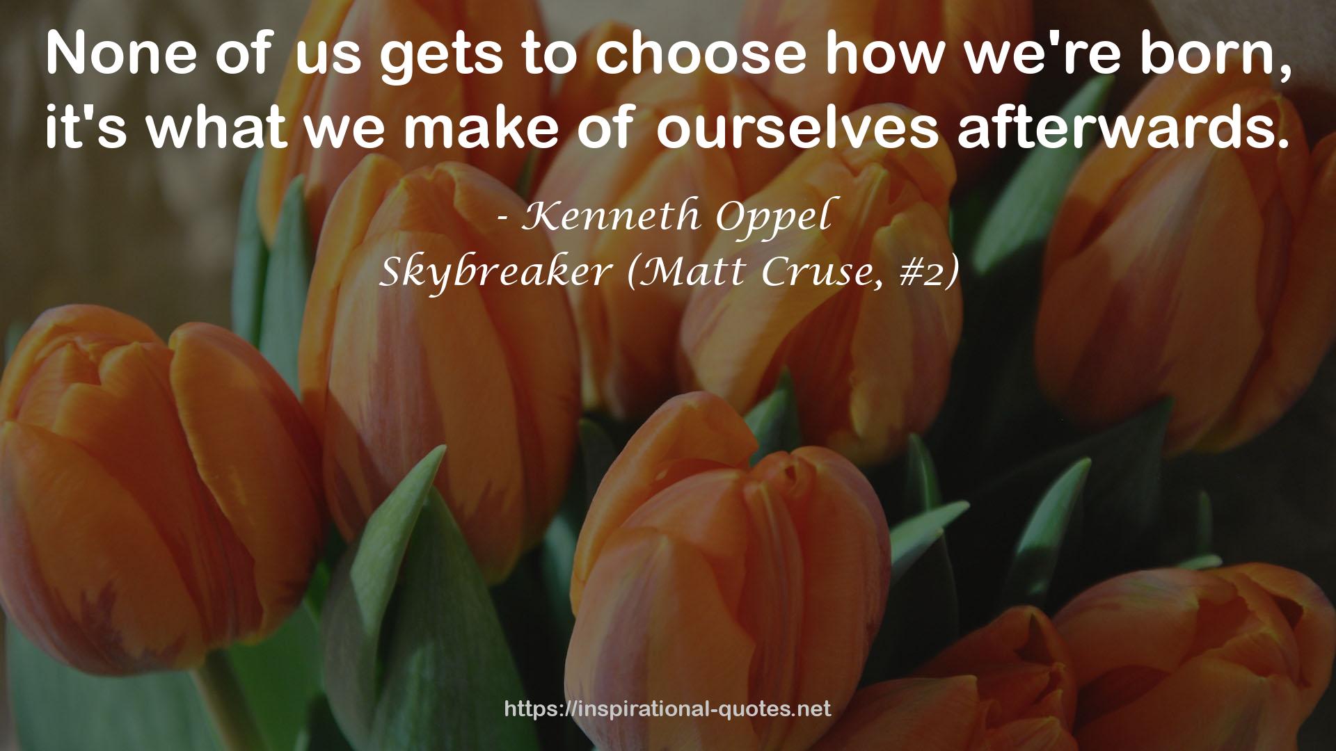 Skybreaker (Matt Cruse, #2) QUOTES