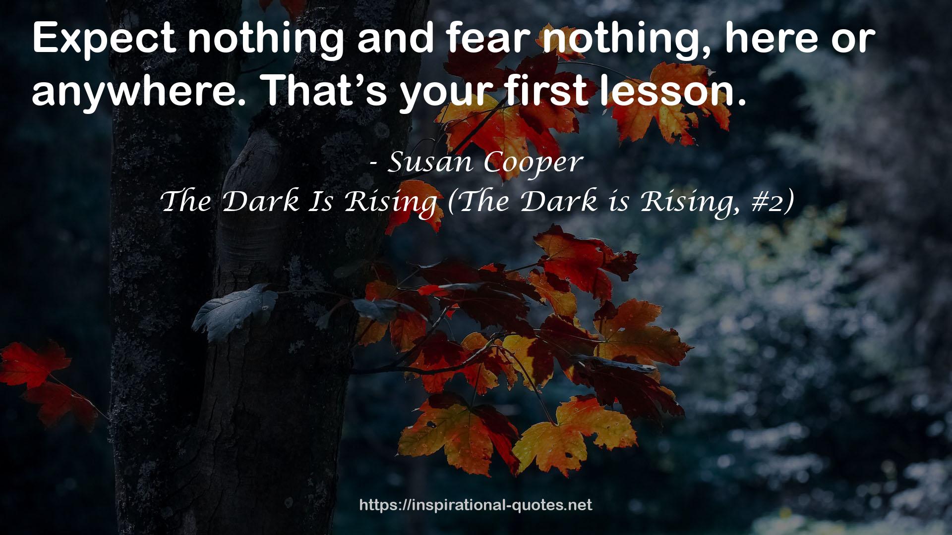 The Dark Is Rising (The Dark is Rising, #2) QUOTES