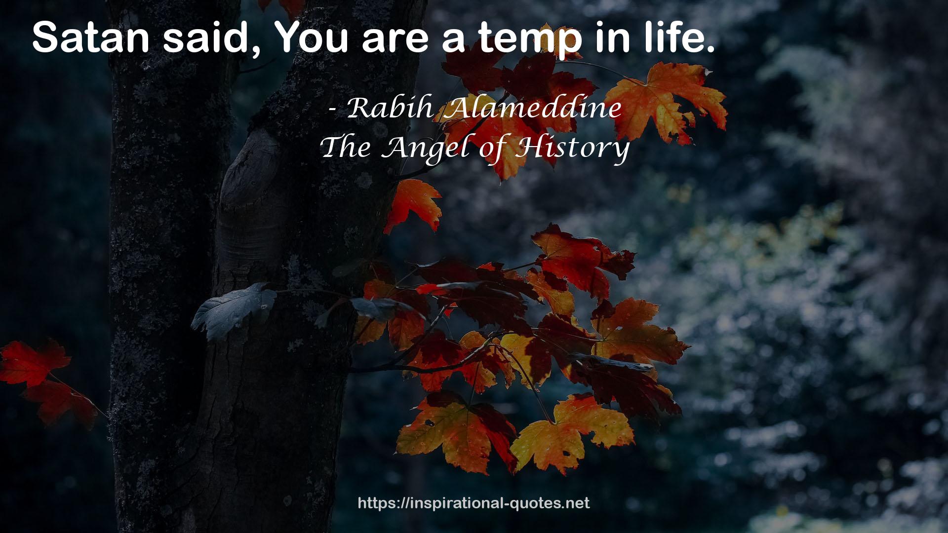 Rabih Alameddine QUOTES