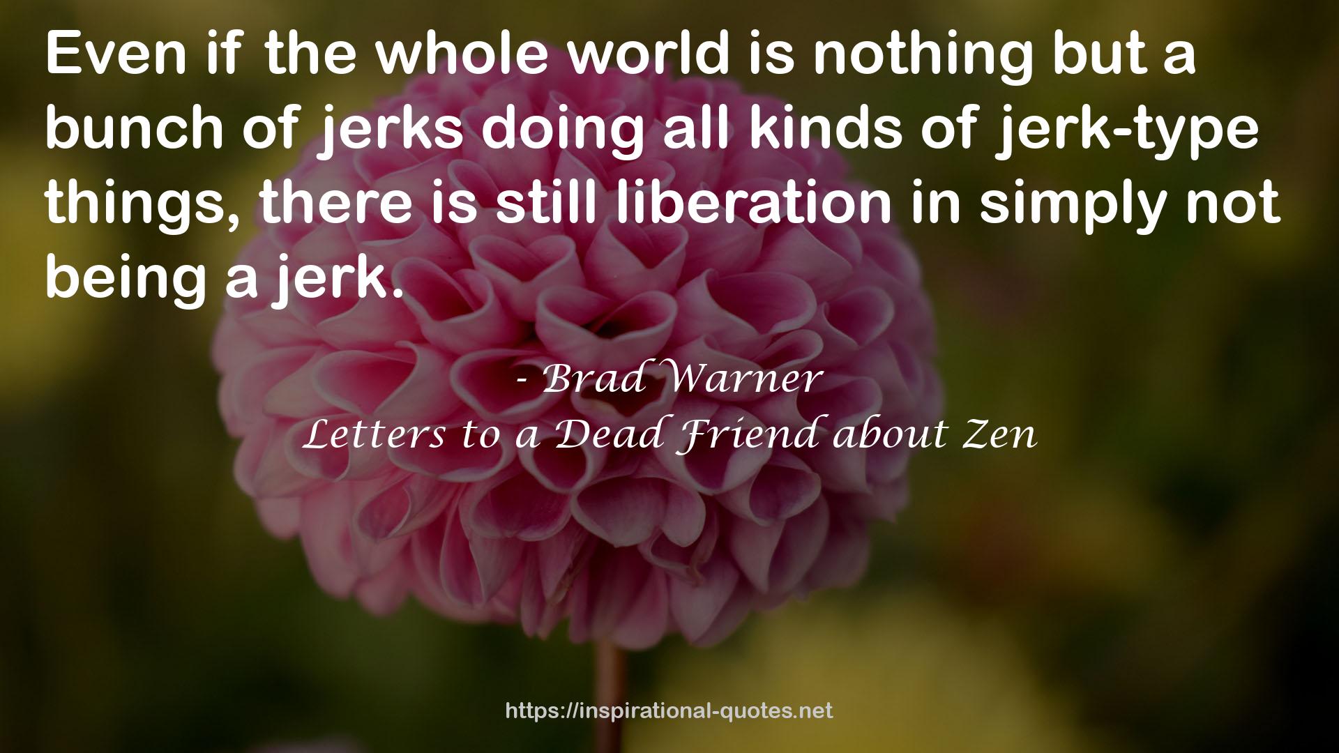 Letters to a Dead Friend about Zen QUOTES