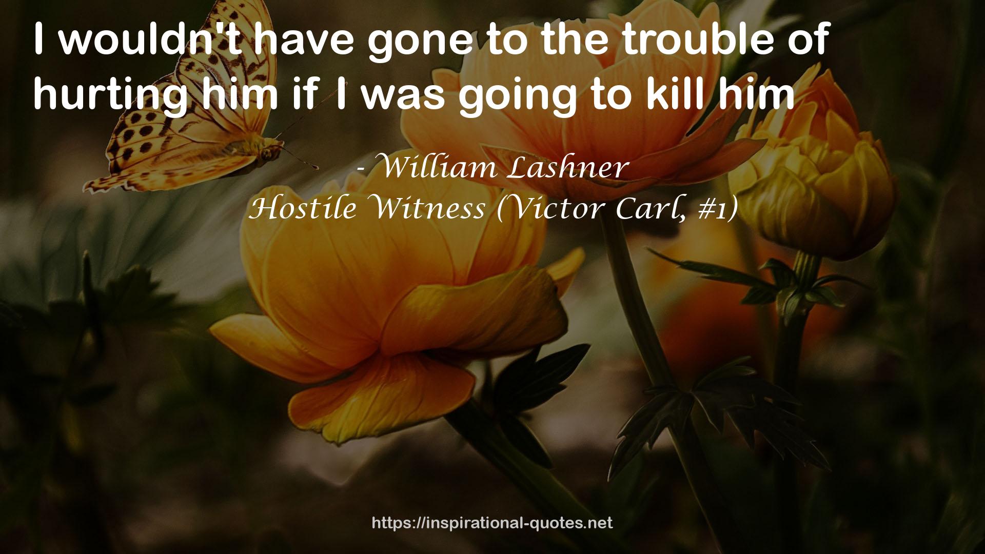 Hostile Witness (Victor Carl, #1) QUOTES