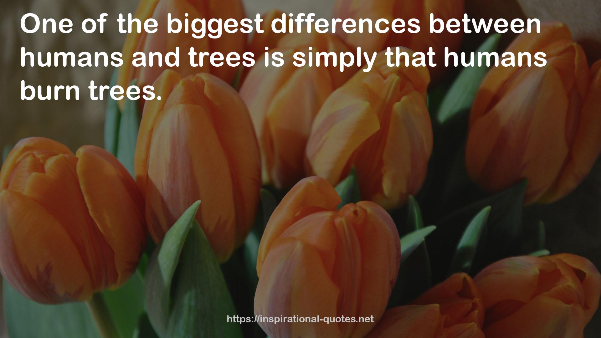 the biggest differences  QUOTES