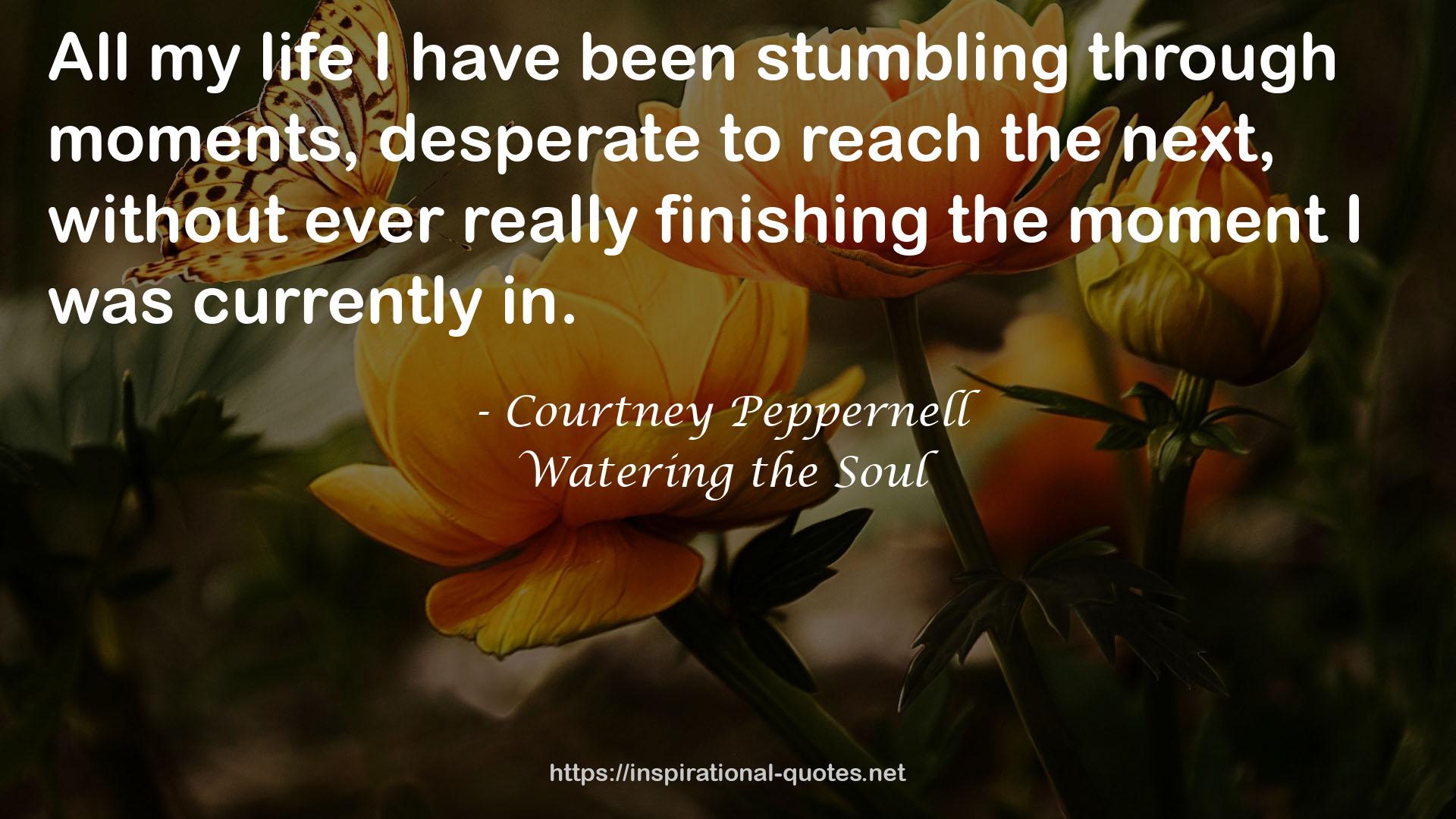Watering the Soul QUOTES