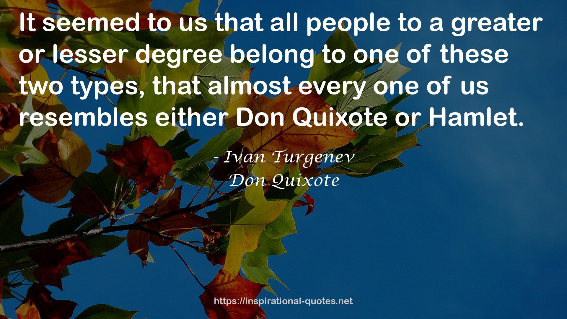 either Don Quixote  QUOTES