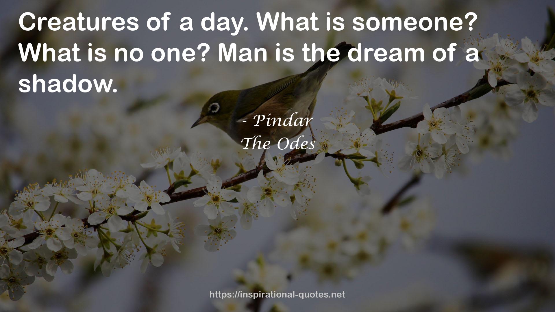 The Odes QUOTES