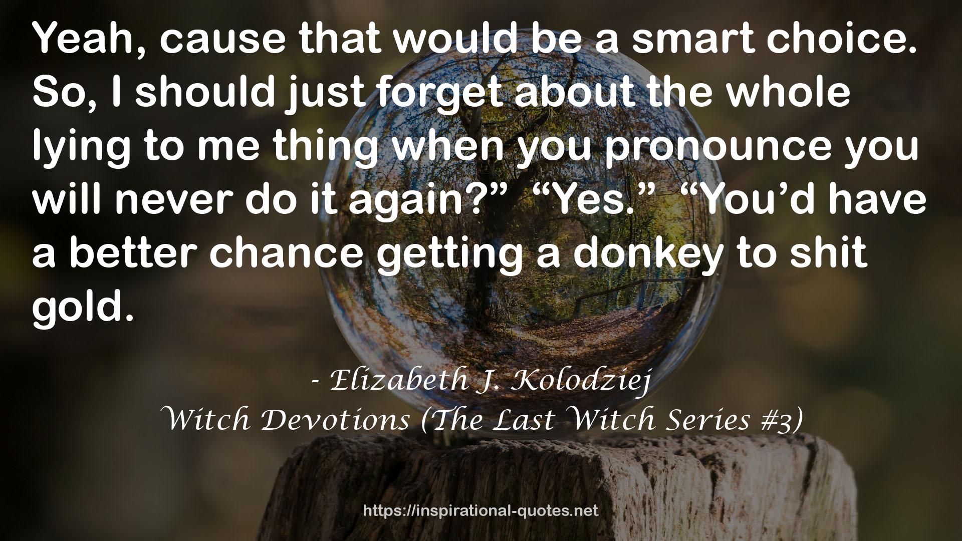 Witch Devotions (The Last Witch Series #3) QUOTES