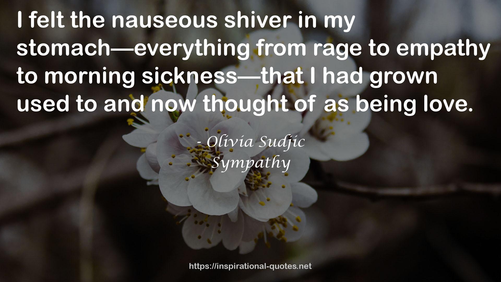 Olivia Sudjic QUOTES