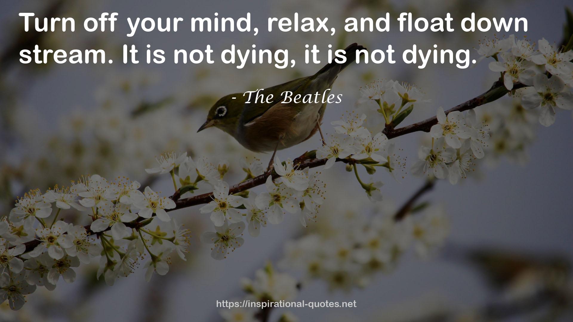 The Beatles QUOTES