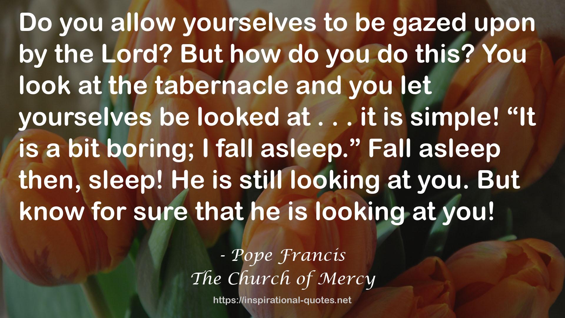 The Church of Mercy QUOTES