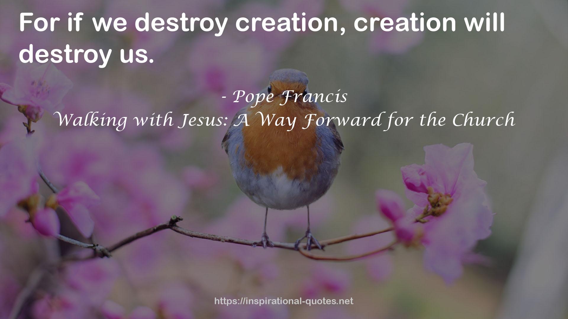 Walking with Jesus: A Way Forward for the Church QUOTES