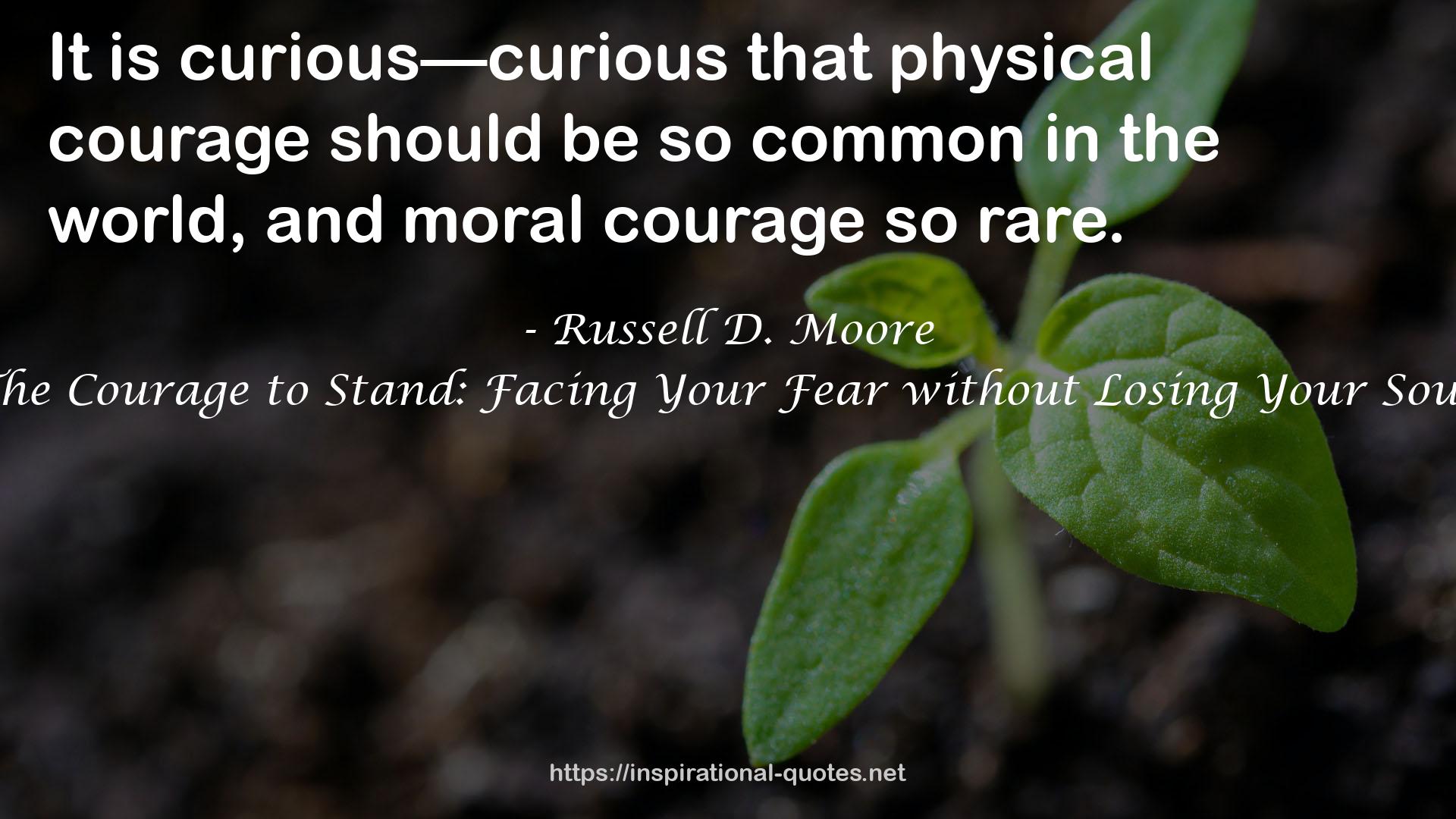 The Courage to Stand: Facing Your Fear without Losing Your Soul QUOTES