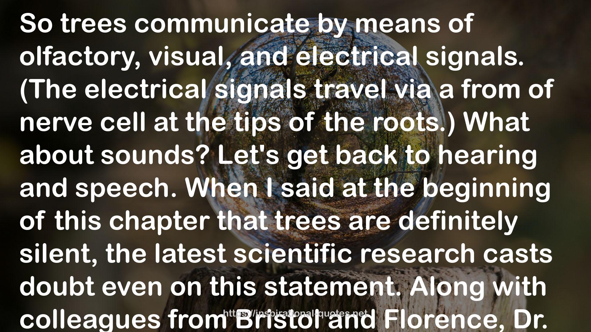 The Hidden Life of Trees: What They Feel, How They Communicate: Discoveries from a Secret World QUOTES