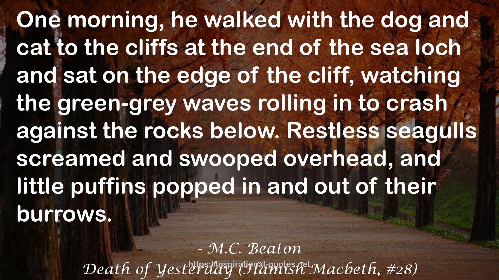 Death of Yesterday (Hamish Macbeth, #28) QUOTES