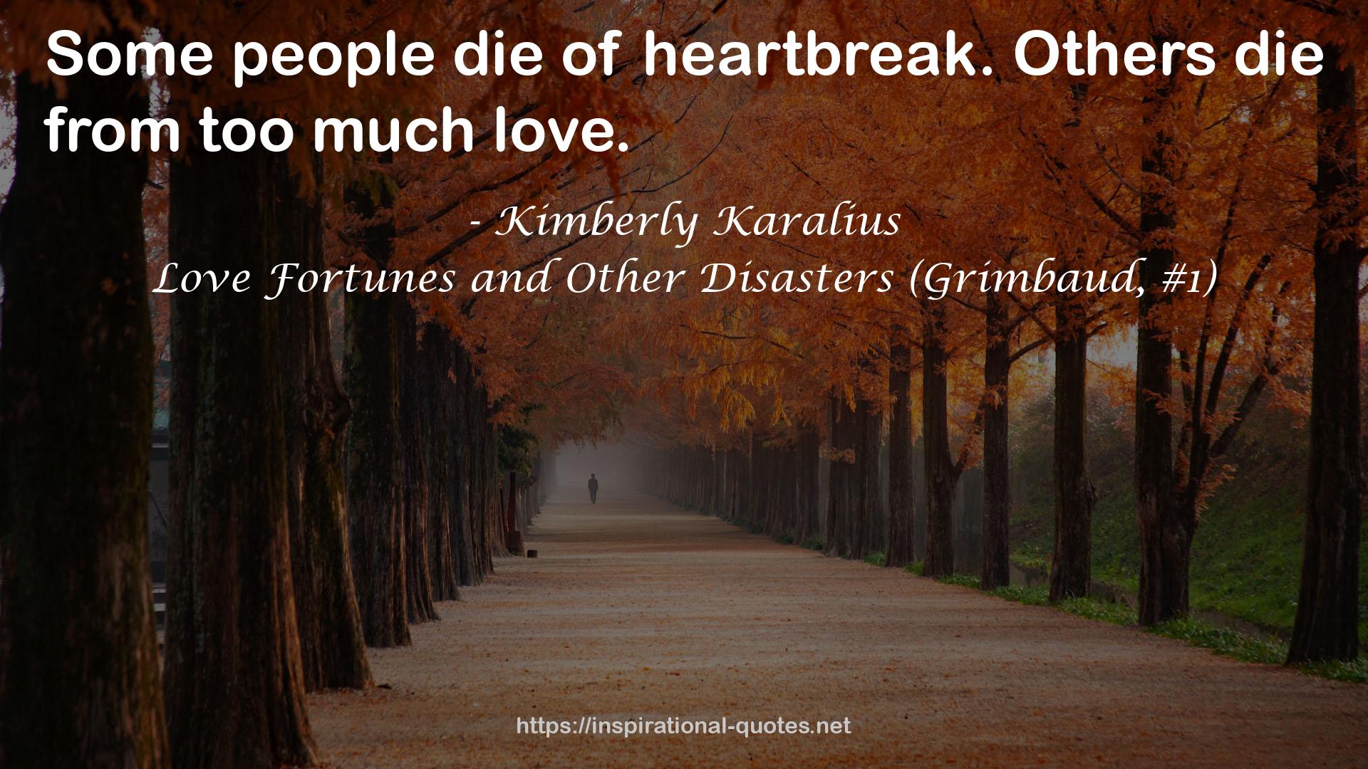 Love Fortunes and Other Disasters (Grimbaud, #1) QUOTES