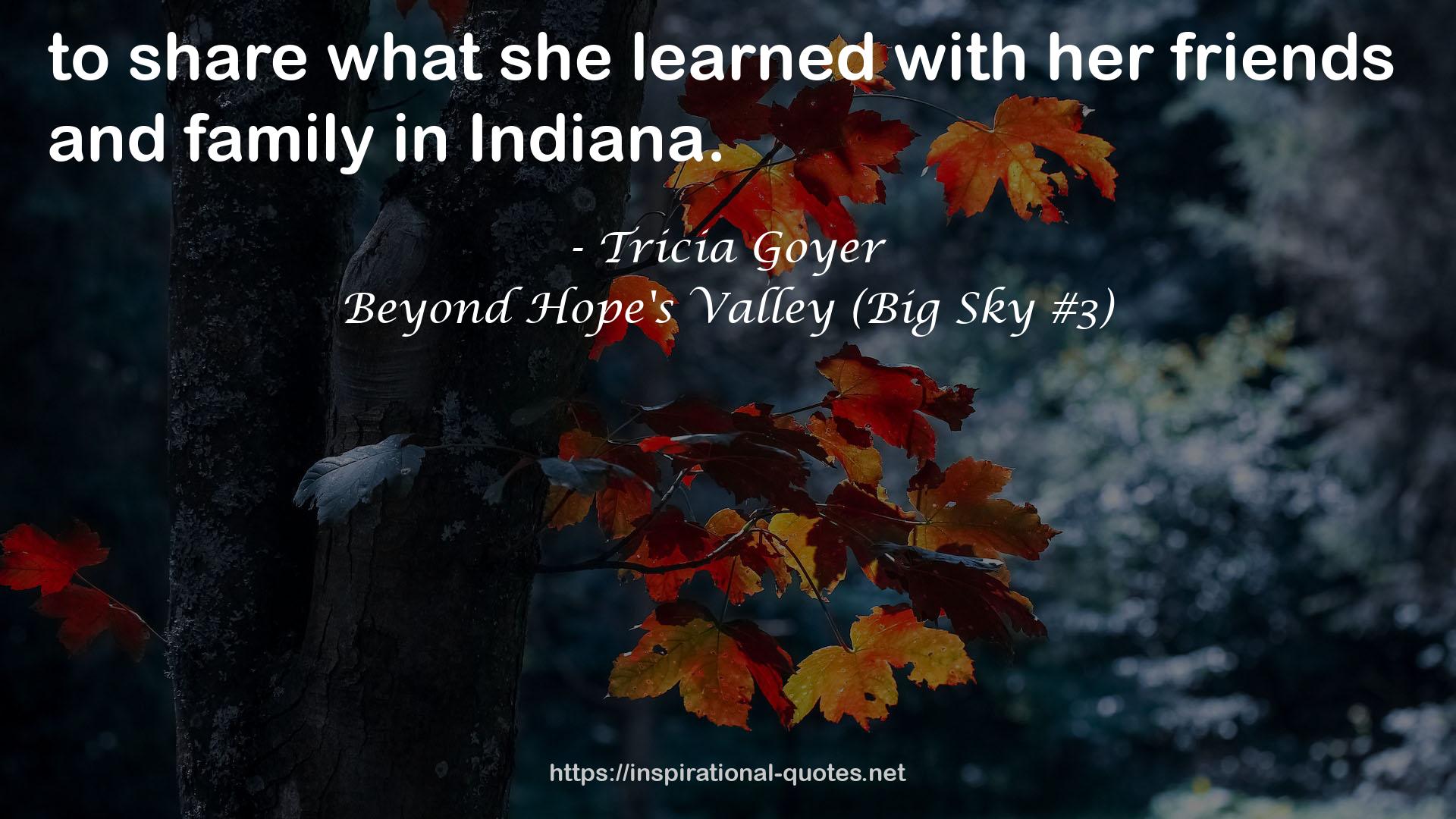 Beyond Hope's Valley (Big Sky #3) QUOTES