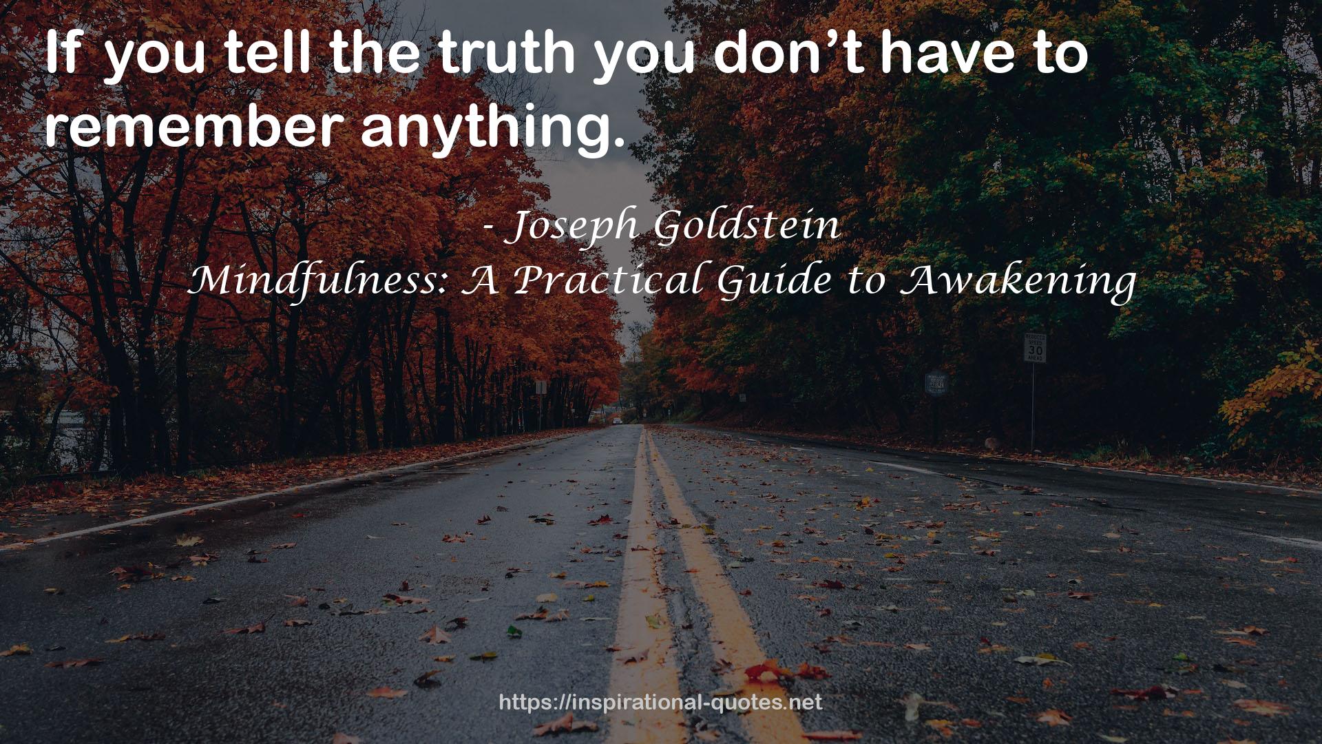 Mindfulness: A Practical Guide to Awakening QUOTES