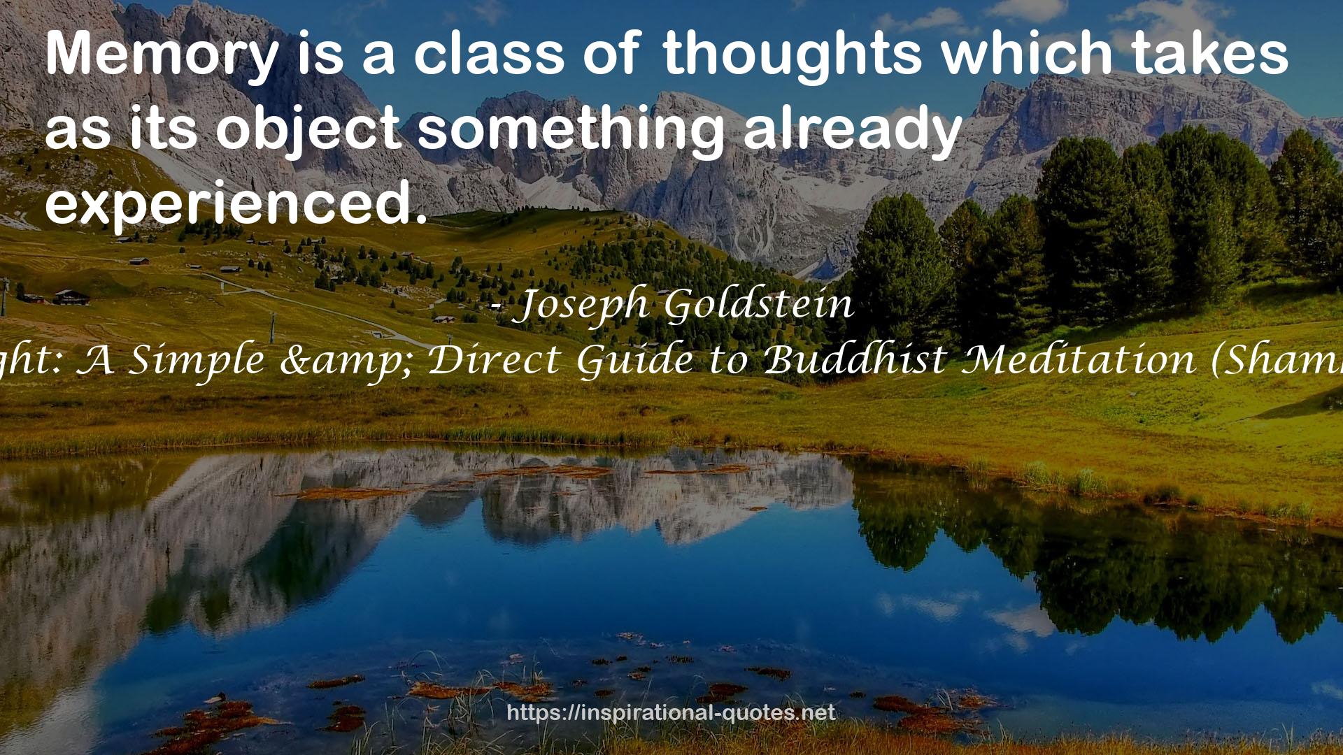 The Experience of Insight: A Simple & Direct Guide to Buddhist Meditation (Shambhala Dragon Editions) QUOTES