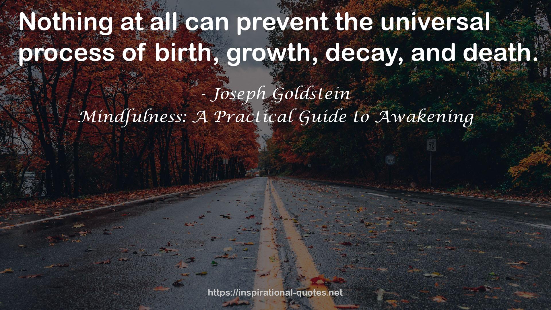Mindfulness: A Practical Guide to Awakening QUOTES