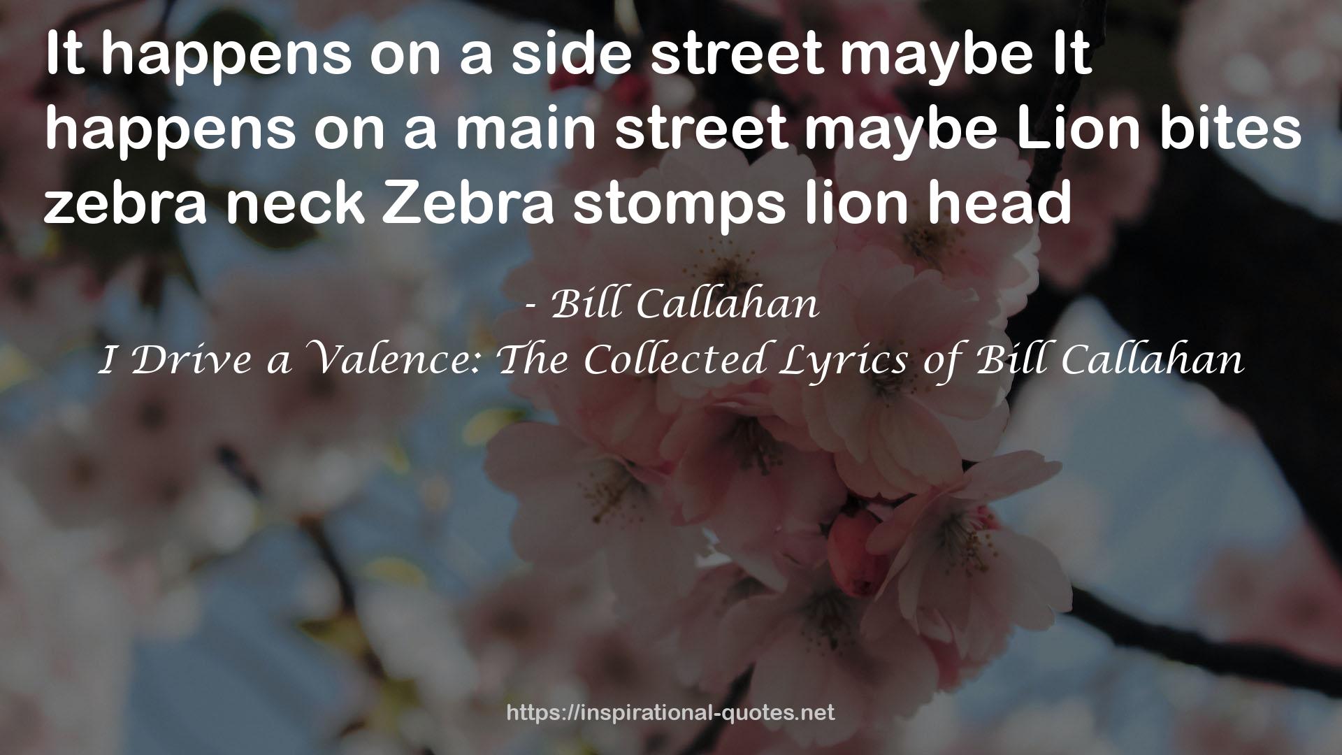 I Drive a Valence: The Collected Lyrics of Bill Callahan QUOTES