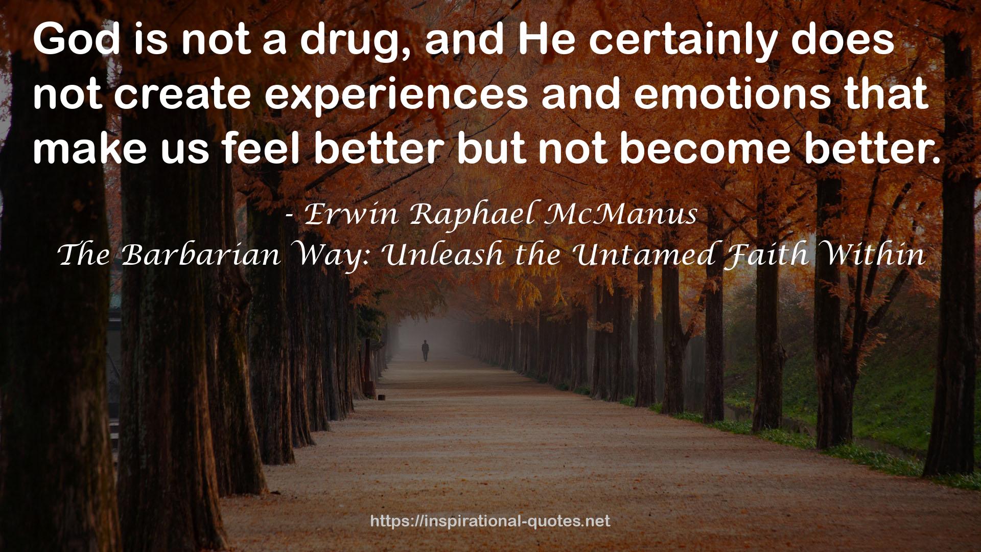 Erwin Raphael McManus QUOTES