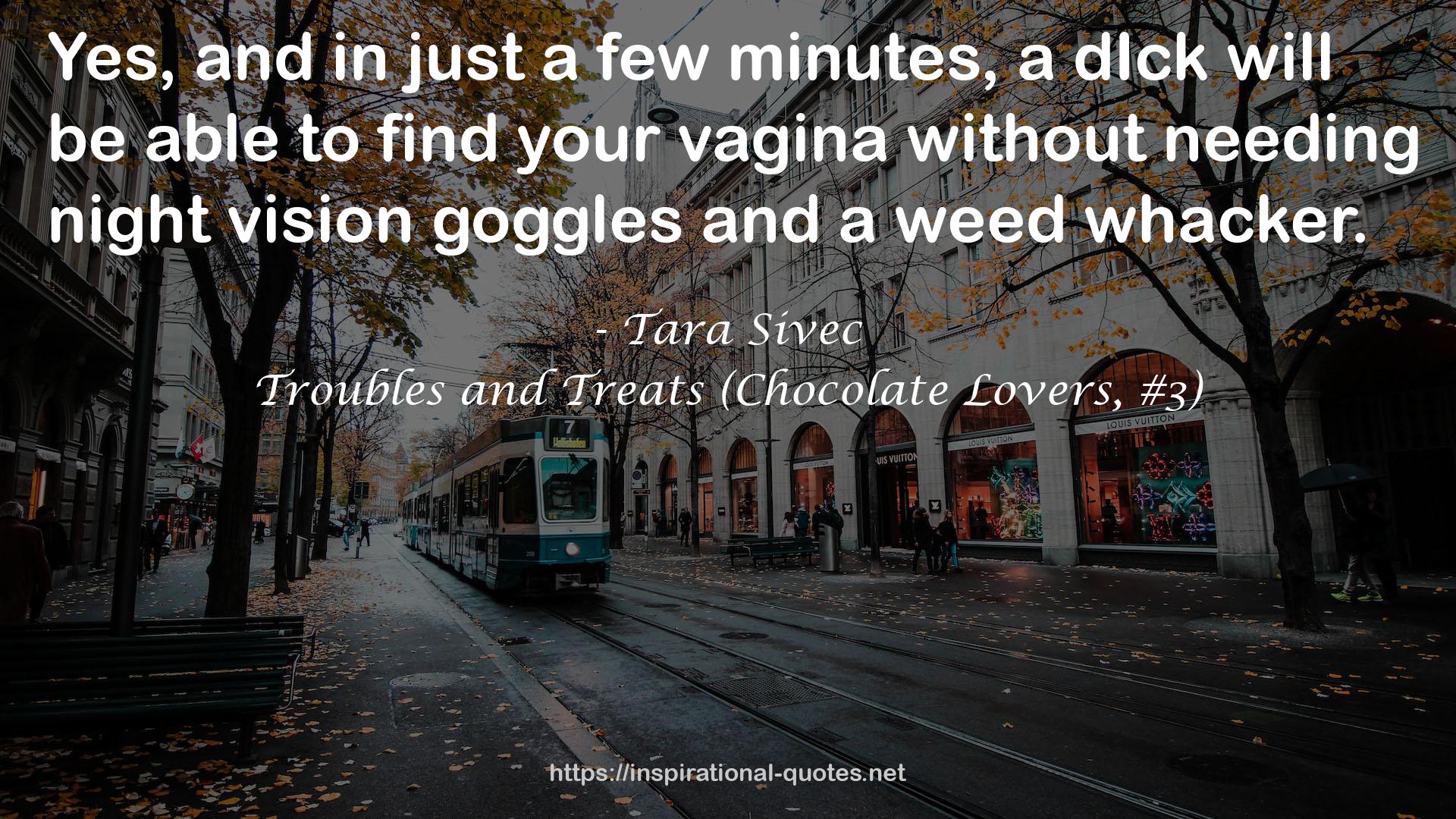 Troubles and Treats (Chocolate Lovers, #3) QUOTES