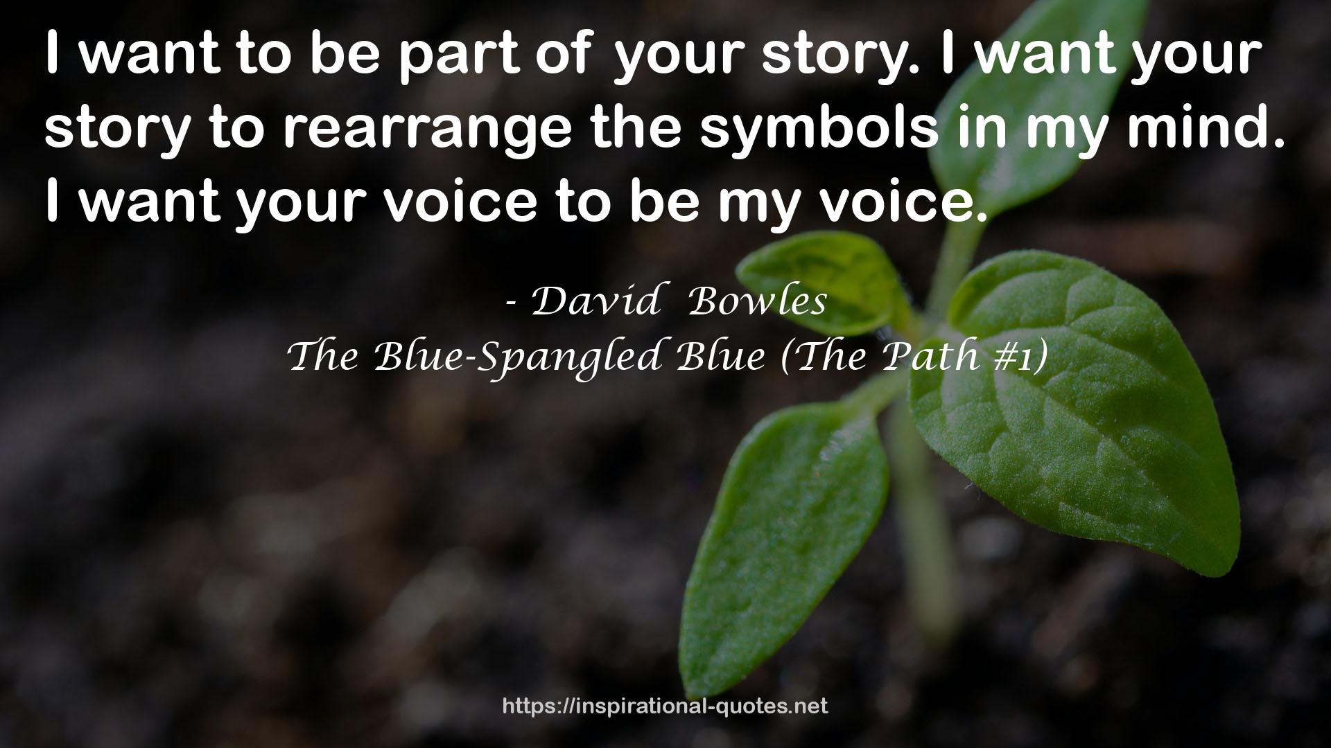 David  Bowles QUOTES