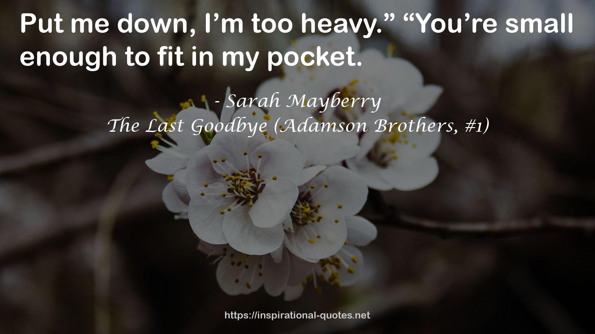 The Last Goodbye (Adamson Brothers, #1) QUOTES