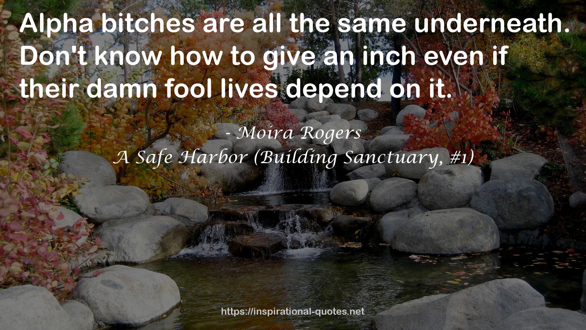 A Safe Harbor (Building Sanctuary, #1) QUOTES