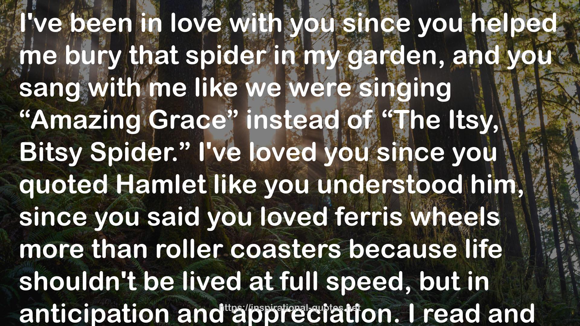 spider  QUOTES