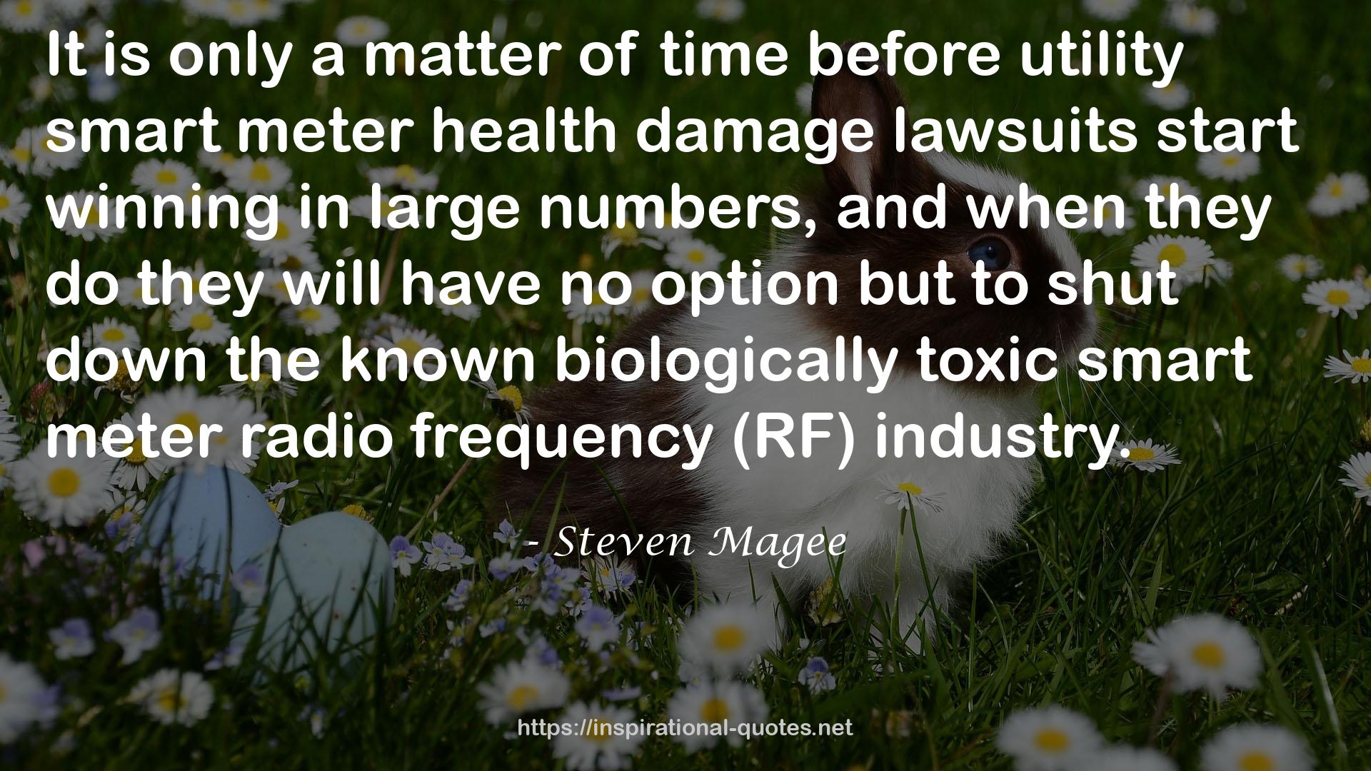 utility smart meter health damage lawsuits  QUOTES