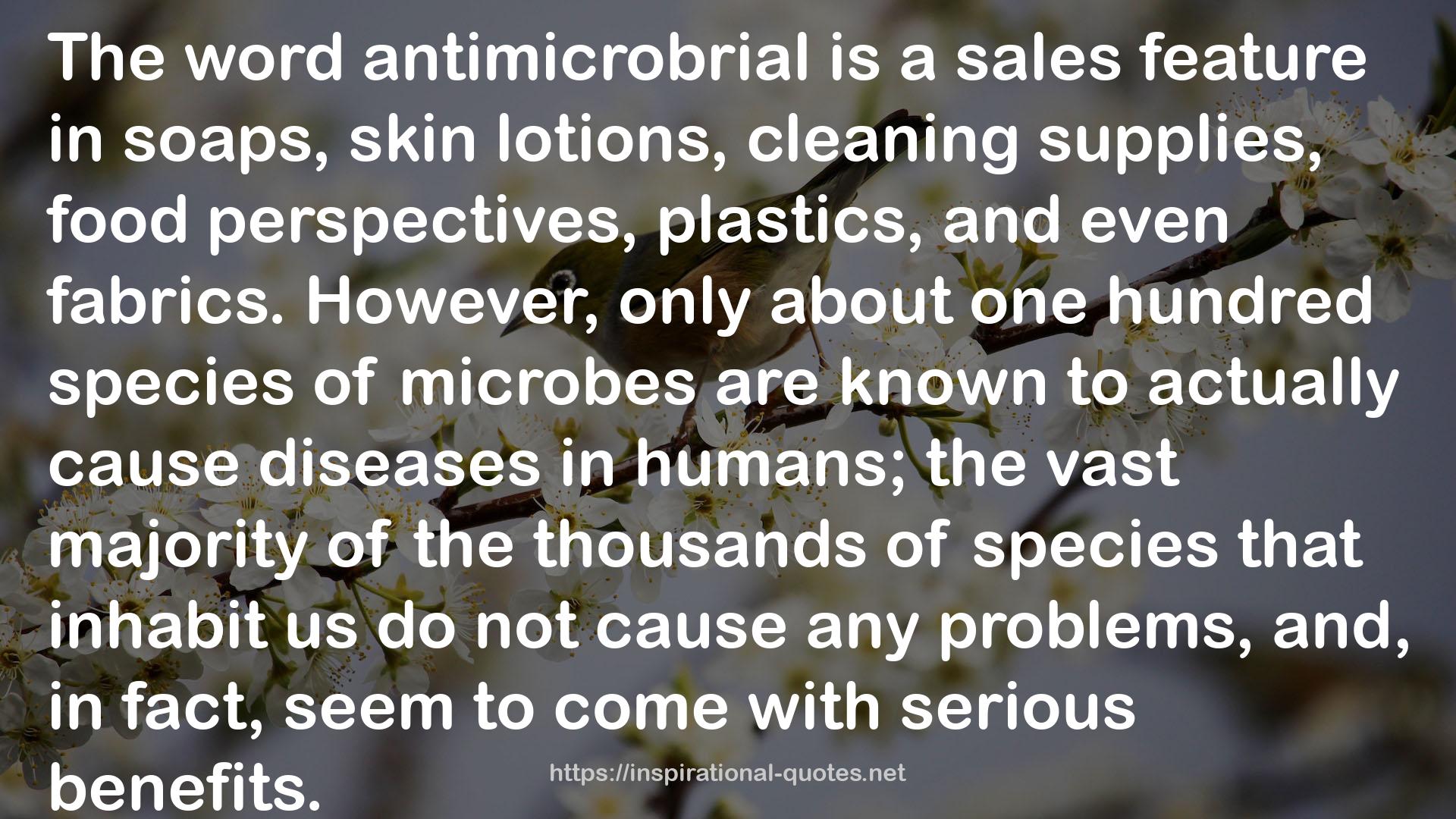 antimicrobrial  QUOTES