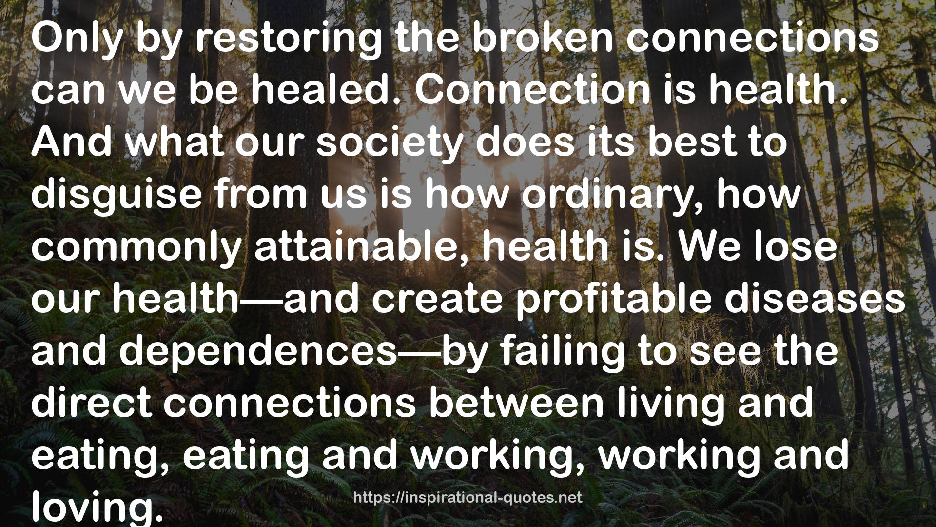 the broken connections  QUOTES