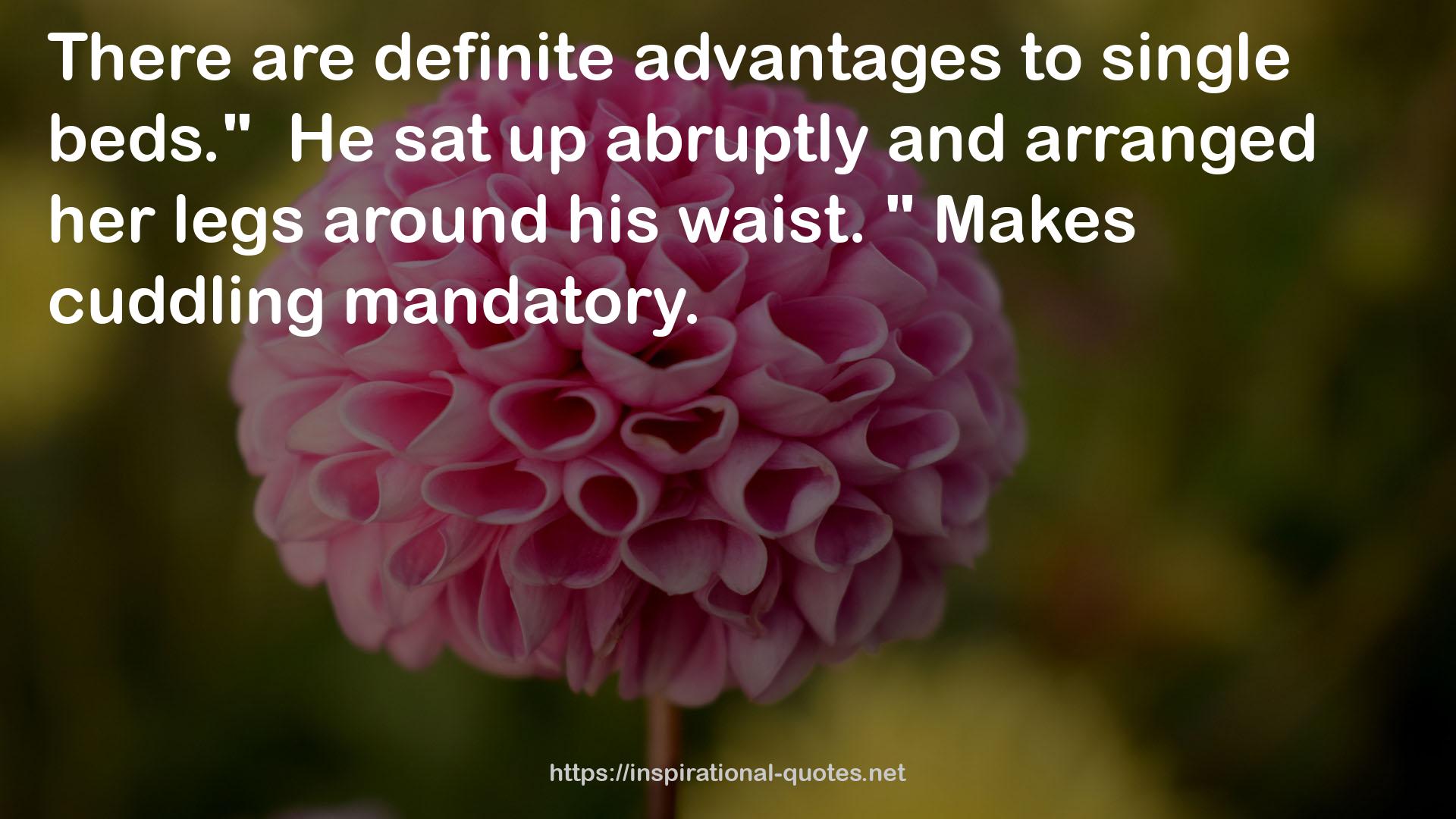 definite advantages  QUOTES