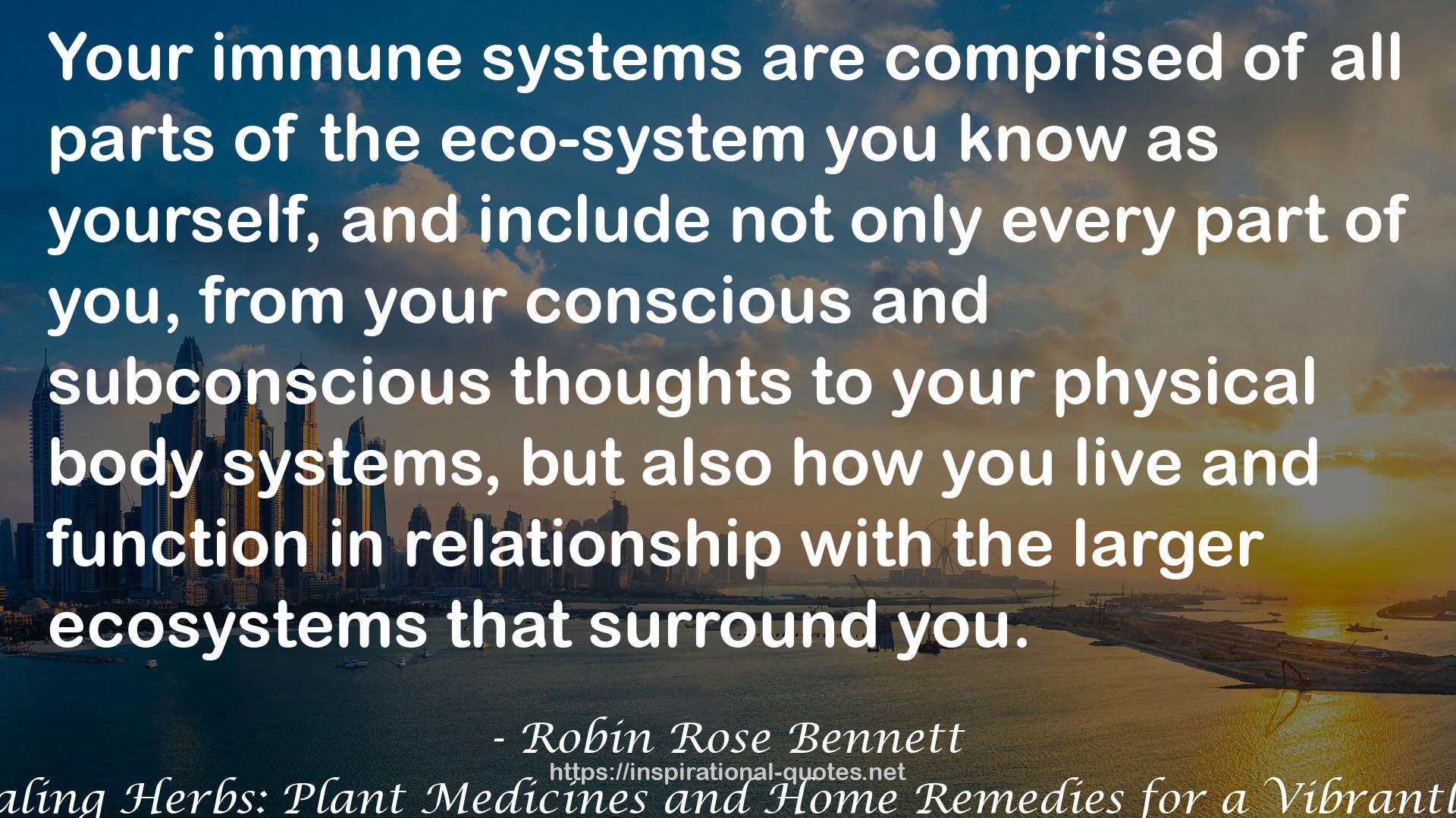 Robin Rose Bennett QUOTES