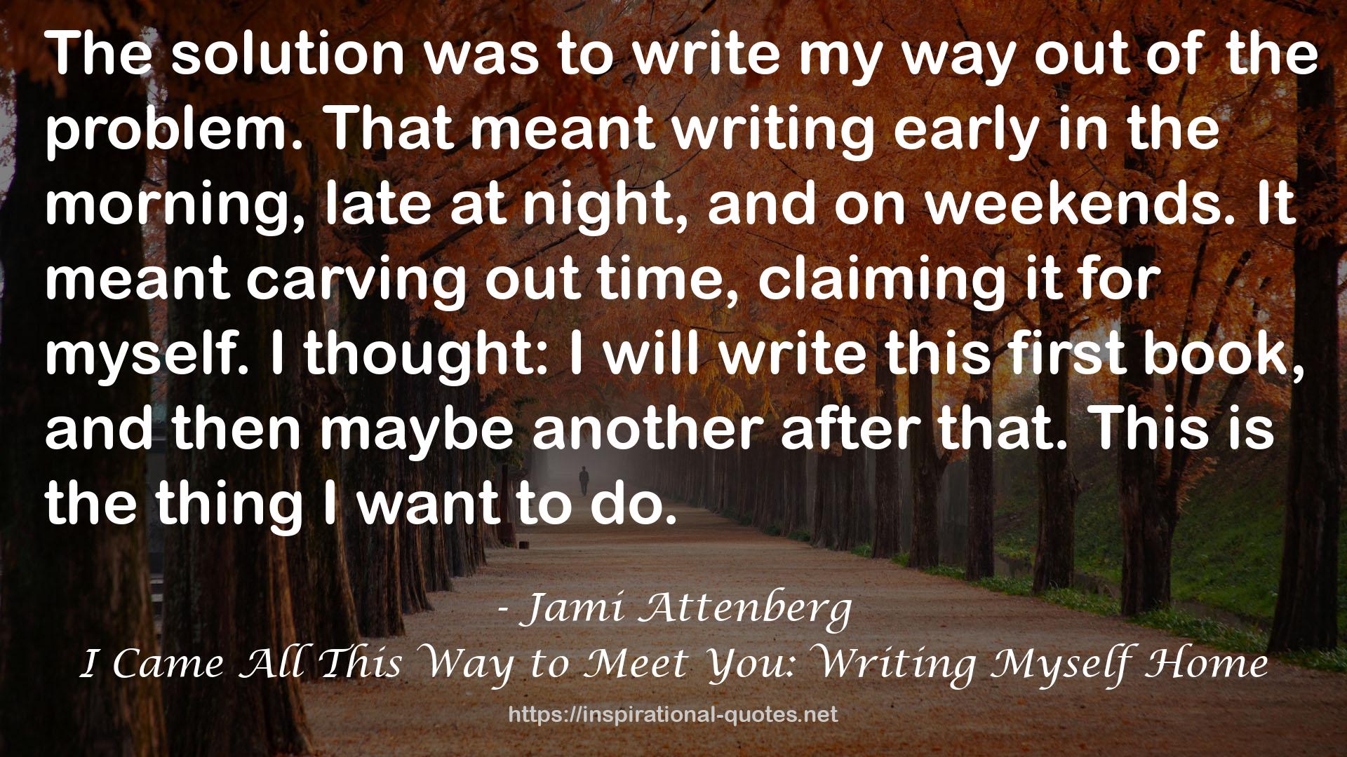 I Came All This Way to Meet You: Writing Myself Home QUOTES
